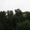 IMG_0645.JPG