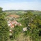 hrad Pecka 2011