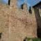hrad Pecka 2011