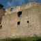hrad Pecka 2011