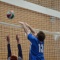 DSC_1819.JPG